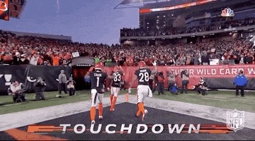 Nfl Playoffs Football GIF by NFL