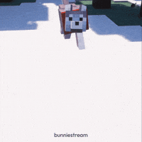 Dog Puppy GIF