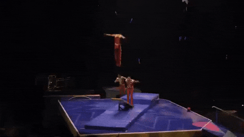 Flip Circus GIF by Ringling Bros. and Barnum & Bailey