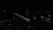 Festival Dubstep GIF by Circus Records