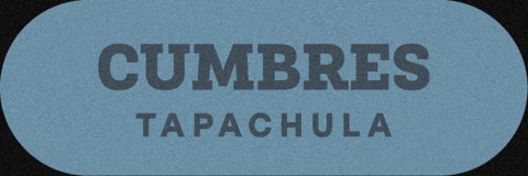 Torneo De La Amistad GIF by TDLA