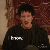 Nick Kroll Fx GIF by Adults