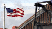 american flag GIF by Bustle