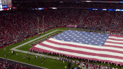 Nfl Usa GIF by Arizona Cardinals