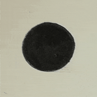 scarpyro cat hello hide scarpyro GIF