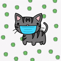 GIF by Tutimon