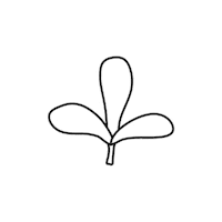 Plant Leaf Sticker by Tundra Snack