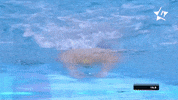 Sport Swimming GIF by Die Finals