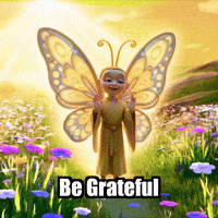 Wisdom Be Grateful GIF by BuddhaFlyJourney