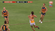 adelaidecrows mark courage adelaide crows matt crouch GIF