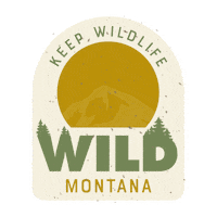 Summer Camping Sticker by Visit Montana