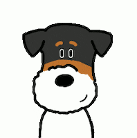 Jack Russell Smile GIF