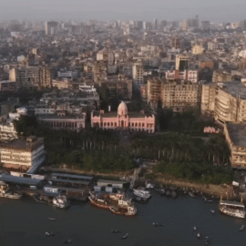 Pink Palace Bangladesh GIF