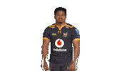 Rugby Sticker by Wasps