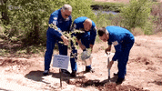 Space Science Tree GIF by European Space Agency - ESA