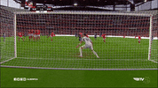 sl benfica slbgifs GIF by Sport Lisboa e Benfica