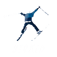 Happy Ski Jump Sticker by skibig3