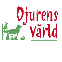 Giveaway Sticker by Djurens Värld Halmstad