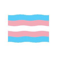 Trans Day Of Visibility Pride Sticker by ASOS