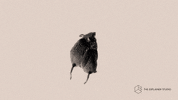Psychology GIF by The Explainer Studio