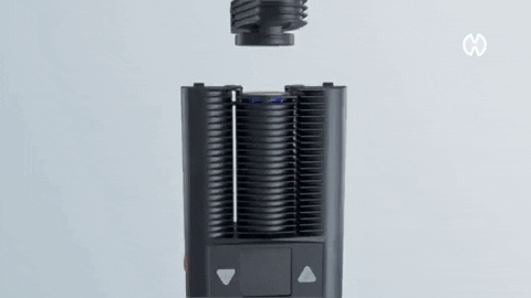 angelworks44 giphygifmaker GIF