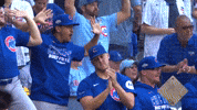 Celebrate Chicago Cubs GIF by MLB