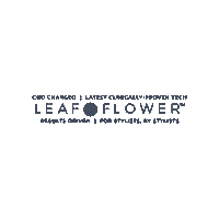 Flower Leaf Sticker by Leafandflowerhair
