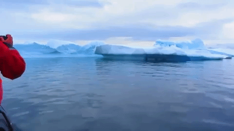 ice float GIF