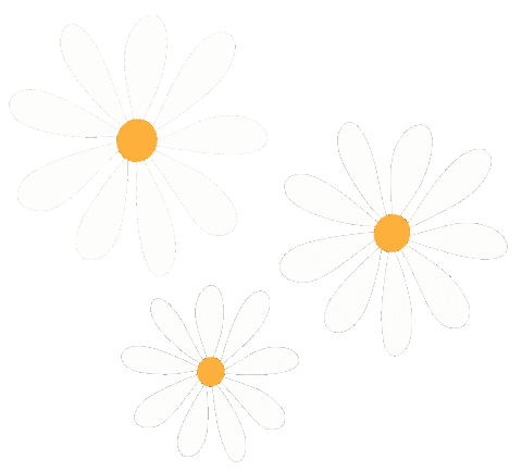 Flower Daisy Sticker