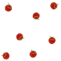 Food Fall Sticker by axiasheer