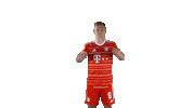 Joshua Kimmich Football Sticker by FC Bayern Munich