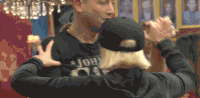 bbuk big brother reality tv cbb celebrity big brother GIF