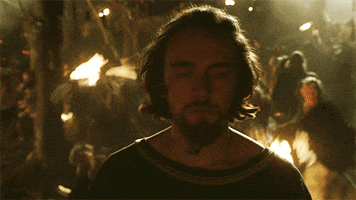 season 1 vikings GIF by HISTORY