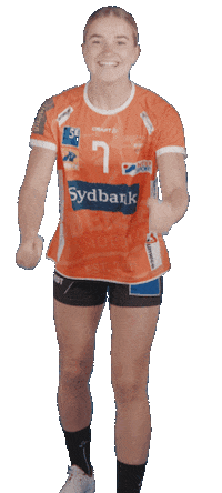 Orange Handball Sticker by Odense Håndbold