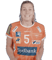 Orange Handball Sticker by Odense Håndbold