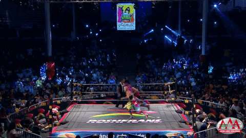 GIF by Lucha Libre AAA