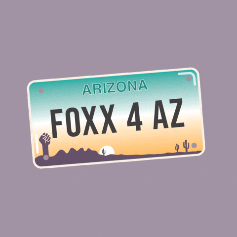 Go Vote GIF by Creative Courage