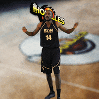 Houilles GIF by SOH Basketball