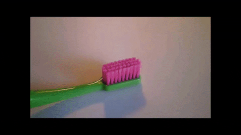 Simongip giphygifmaker GIF