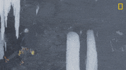 Hitting Nat Geo GIF by National Geographic Channel