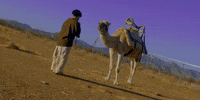 Riding GIF by Aries