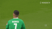 Football Soccer GIF by SV Werder Bremen
