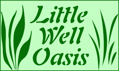 oasis GIF