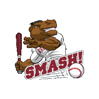 Bronco Baseball Sticker by Santa Clara Broncos