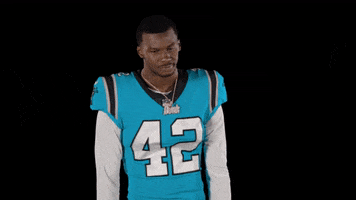 North Carolina Reaction GIF by Carolina Panthers