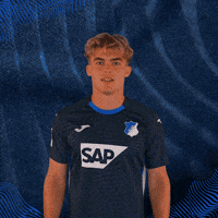 Sport Bundesliga GIF by TSG Hoffenheim