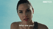 Confused Wonder Woman GIF by HBO Max
