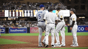 Major League Baseball Hug GIF by MLB