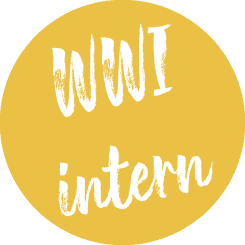 worldwide_internships alumni intern internship internships Sticker