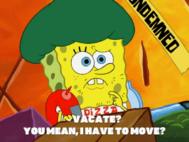 season 8 episode 3 GIF by SpongeBob SquarePants